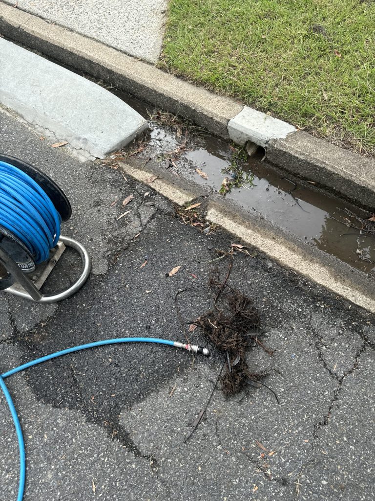 Drain Cleaning Brisbane - Tree Roots